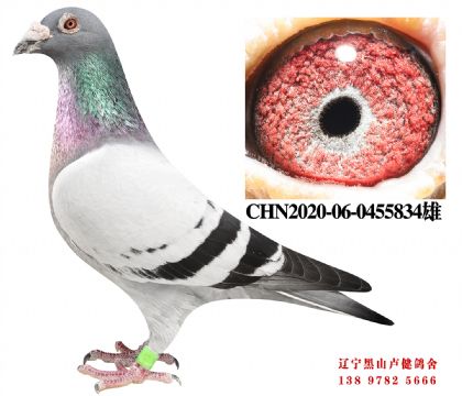 170.����201X�ܽ�ͷ��Ů����44��