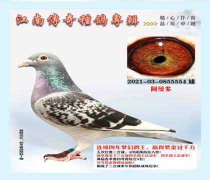 ������ҵ�������ࡱ-0855554