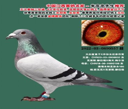 ������ҵ �����-0890557