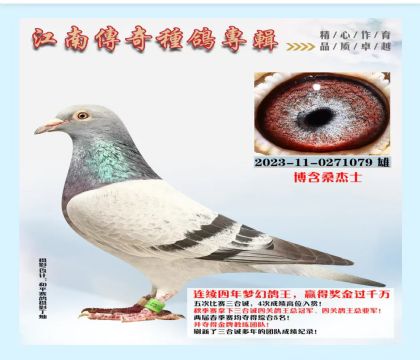 �㽭���� ɣ��ʿ-0271079