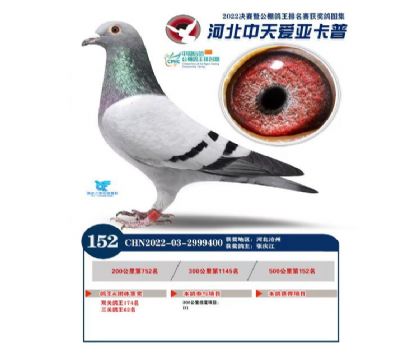 ���ǿ��չ������62��������152��-2999400