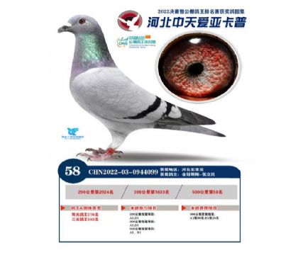 ���ǿ��չ������58��-0944099