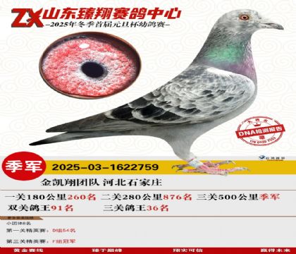 ɽ�������������