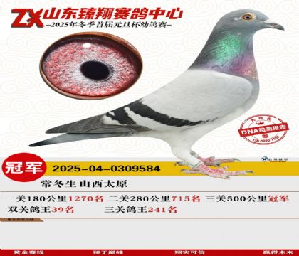 ɽ����������ھ�