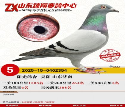 ɽ���������5��