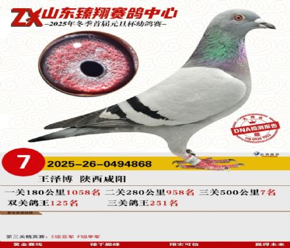 ɽ���������7��