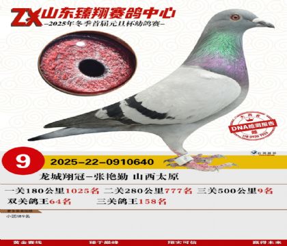 ɽ���������9��