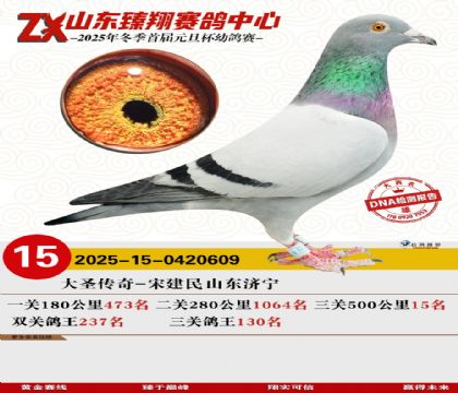 ɽ���������15��