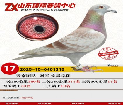 ɽ���������17��