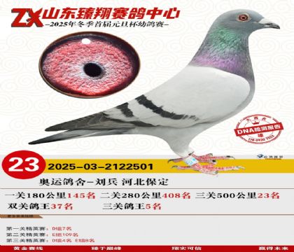 ɽ���������23��