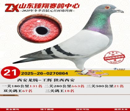 ɽ���������21��