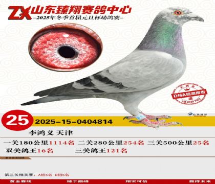 ɽ���������25��