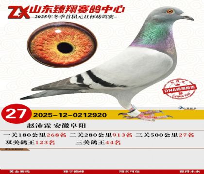 ɽ���������27��