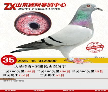 ɽ���������35��