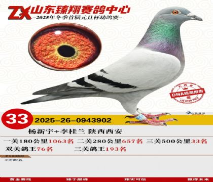 ɽ���������33��