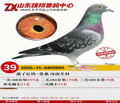 ɽ���������39��