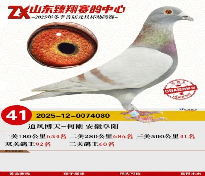 ɽ���������41��