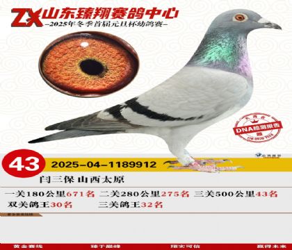 ɽ���������43��