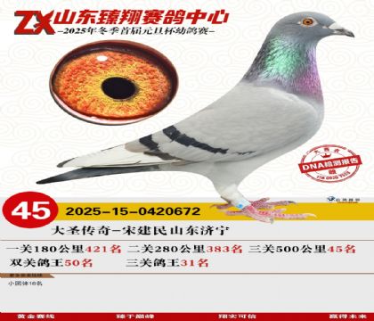 ɽ���������45��