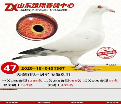 ɽ���������47��