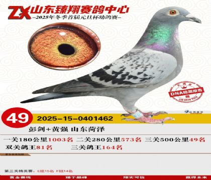 ɽ���������49��