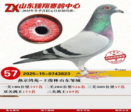 ɽ���������57��