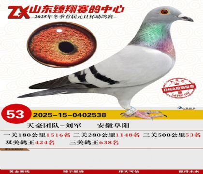 ɽ���������53��