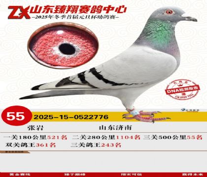 ɽ���������55��