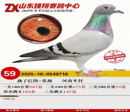 ɽ���������59��