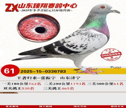 ɽ���������61��