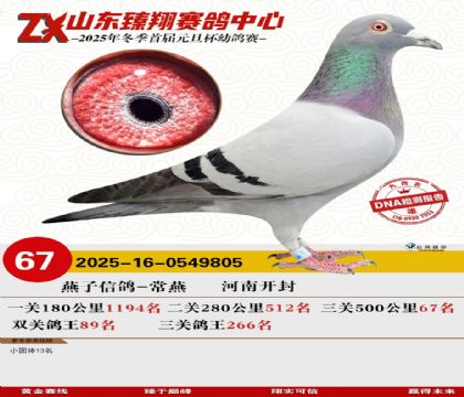 ɽ���������67��