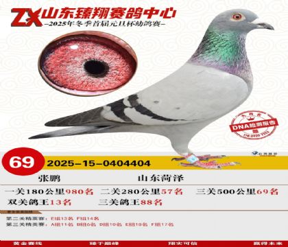 ɽ���������69��