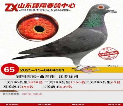 ɽ���������65��