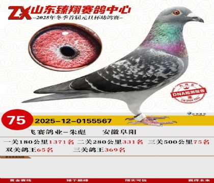 ɽ���������75��