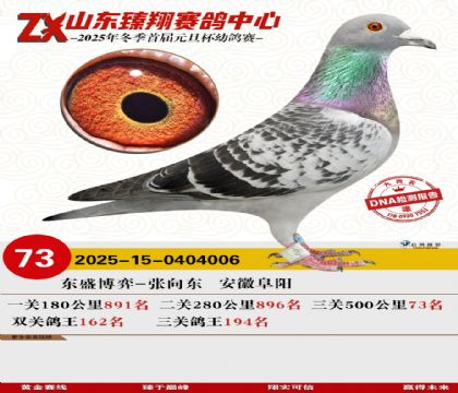 ɽ���������73��