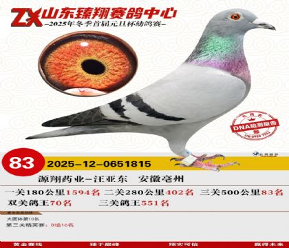 ɽ���������83��