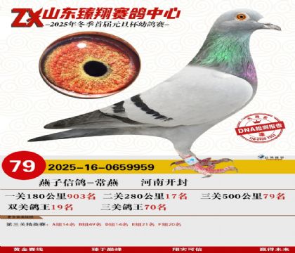 ɽ���������79��