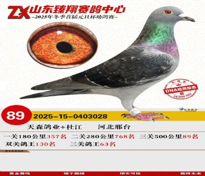 ɽ���������89��