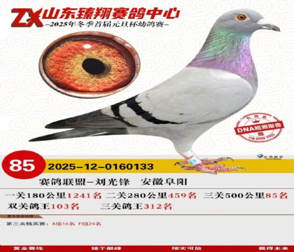 ɽ���������85��