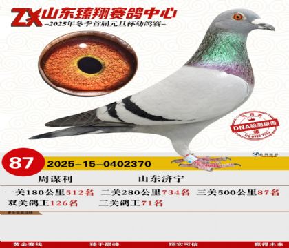 ɽ���������87��