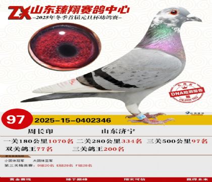 ɽ���������97��