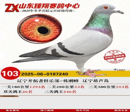 ɽ���������103��