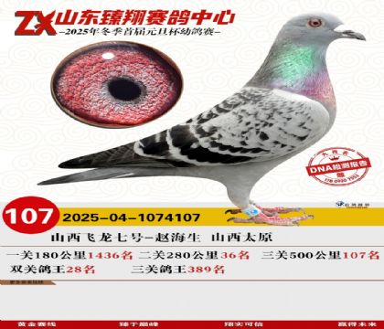 ɽ���������107��