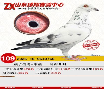 ɽ���������109��