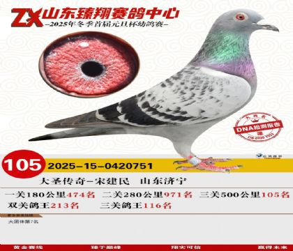 ɽ���������105��