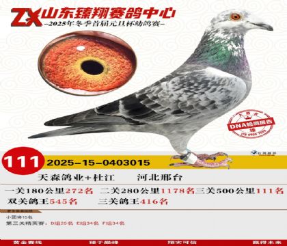 ɽ���������111��