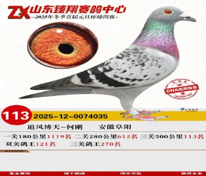 ɽ���������113��