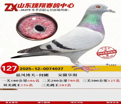 ɽ���������127��