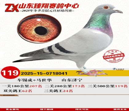 ɽ���������119��