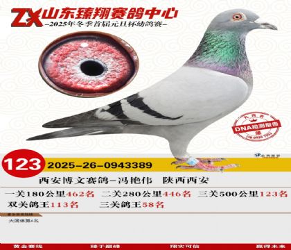 ɽ���������123��